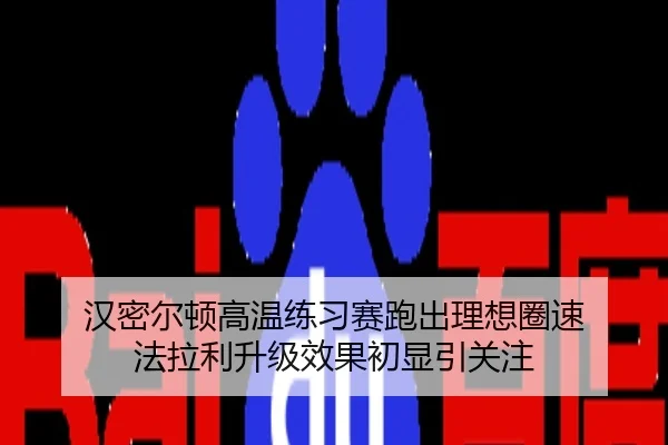 img_1786261920337_1388_0_505.jpg